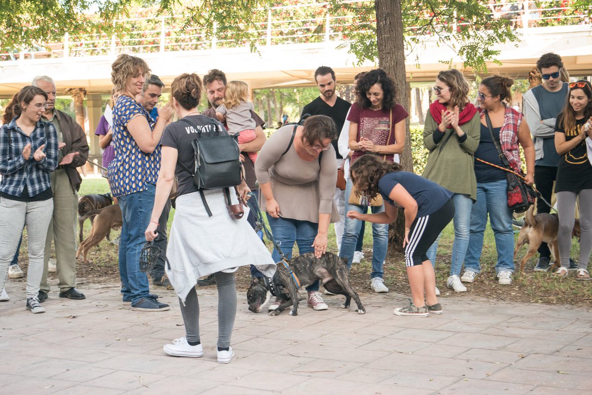 Els tallers i la desfilada de mascotes van ser les parts més divertides de la Fira Animalista. Mireu, mireu! Tenim a muntó de fotos en el link de la bio. Vos hi trobeu? 😜