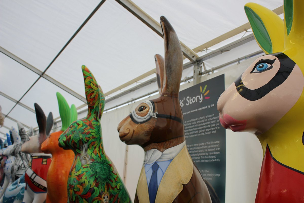 GoGo Hareman tweet media