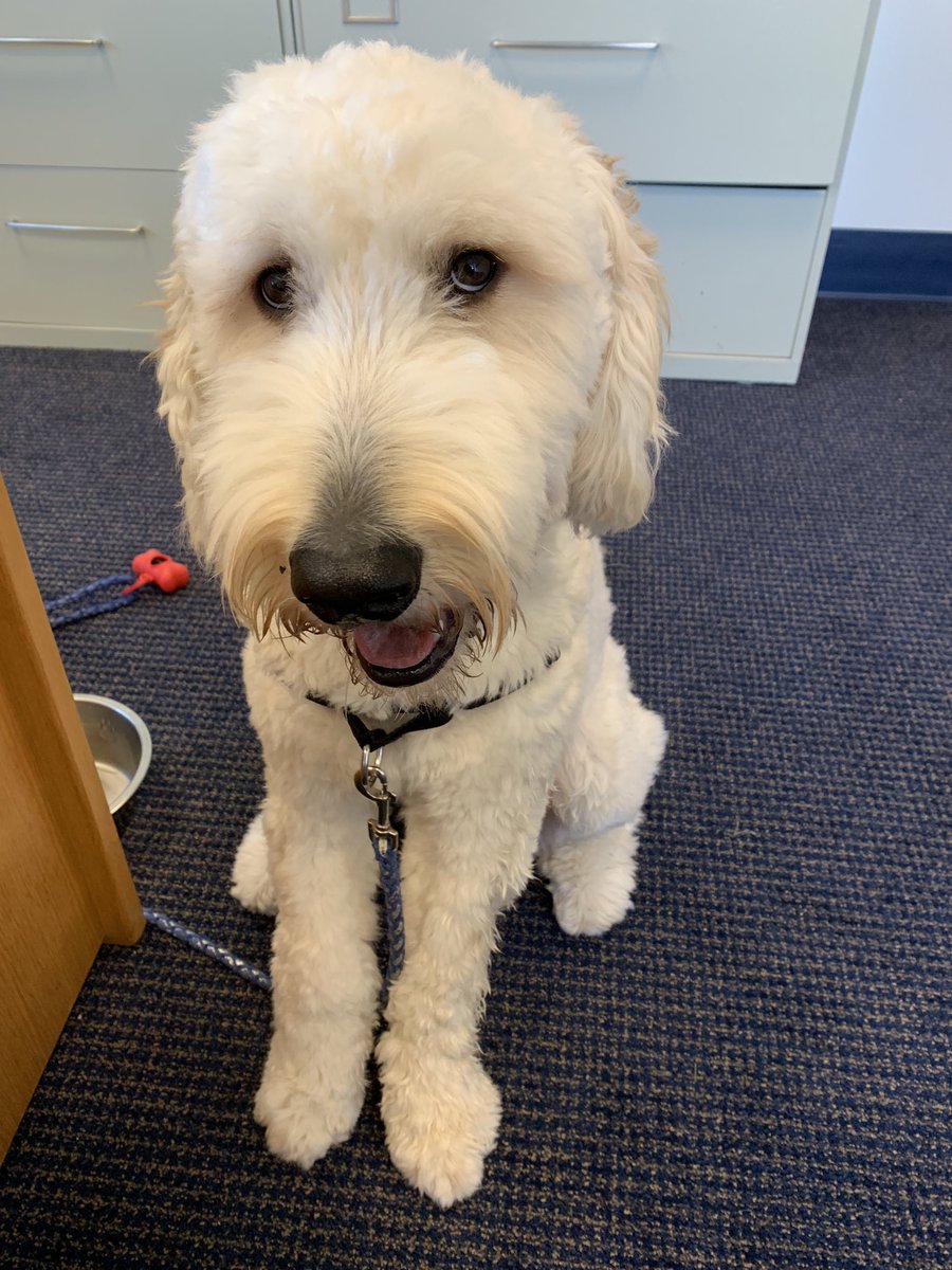 Hanging out with mom today! Come see me on the 1st floor of ESB!