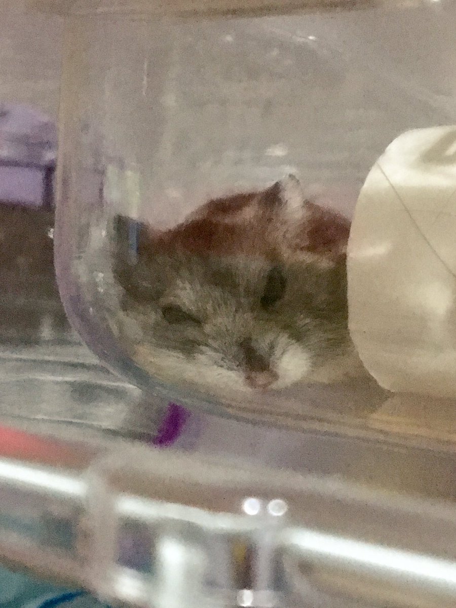 Remi Remi0925 Twitter