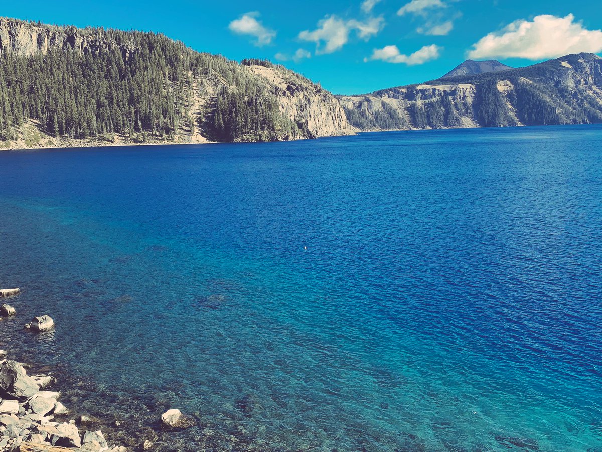 Damon Klotz (he/him) tweet media