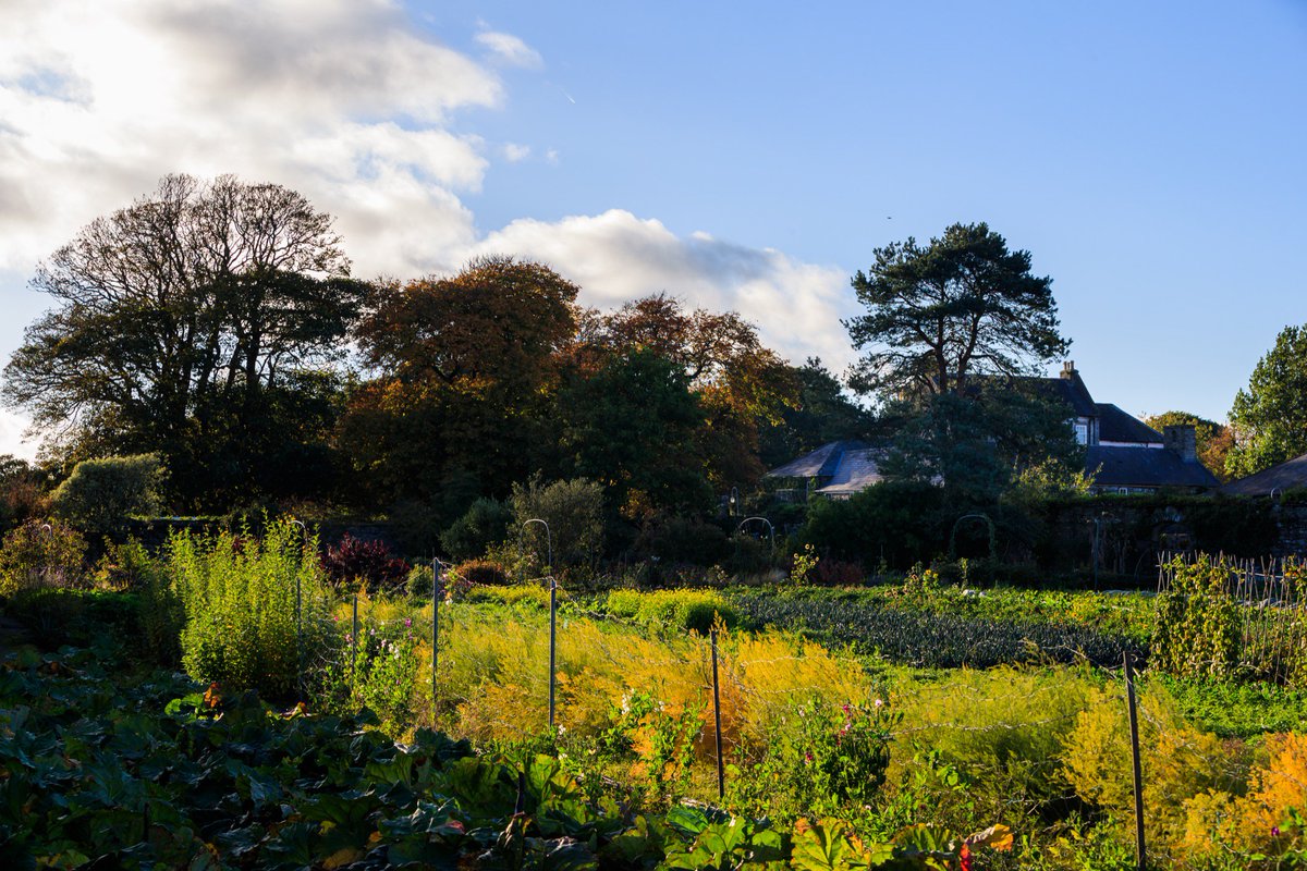 Ballymaloe House Hotel tweet media