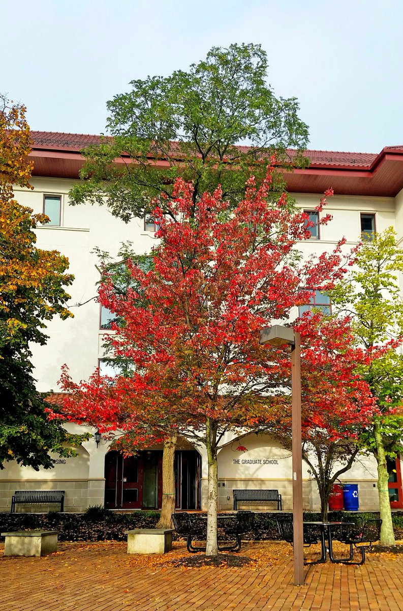 tgsmsu's tweet image. It's arguably the best time to visit our campus - and we have the perfect opportunity for you to do so! Join us on Sunday, October 21st for the Graduate Open House. Register now, time's running out! bit.ly/TGSFA18OH