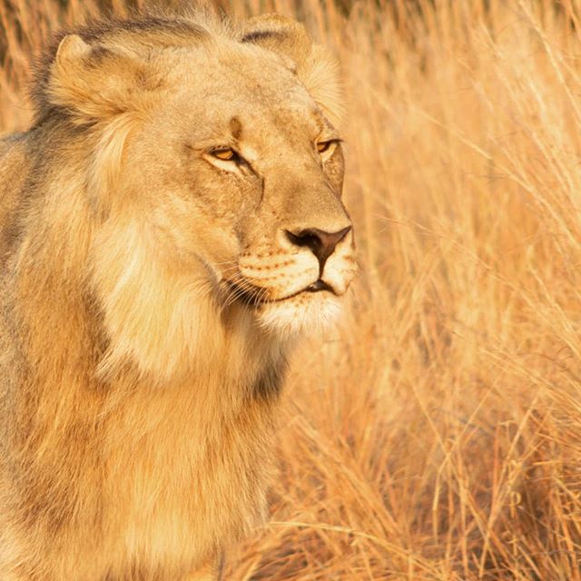 Take some time out of your day to think about life and where your taking it.