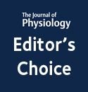 JPhysiol's tweet photo. The choroid plexus sodium‐bicarbonate cotransporter NBCe2 regulates mouse cerebrospinal fluid pH https://t.co/HcJv6Q5BzE https://t.co/nPCeGLJt4Y
