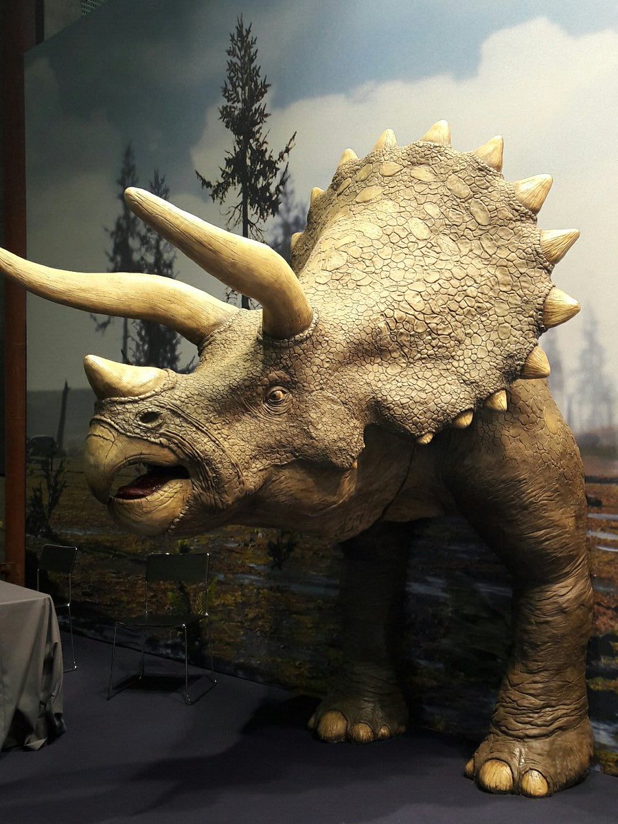 tonbooktoo's tweet image. Drôle de rencontre pour terminer cette journée instructive au Showroom des Industries Créatives @PrintInProgres ! 😮 #Printinprogress