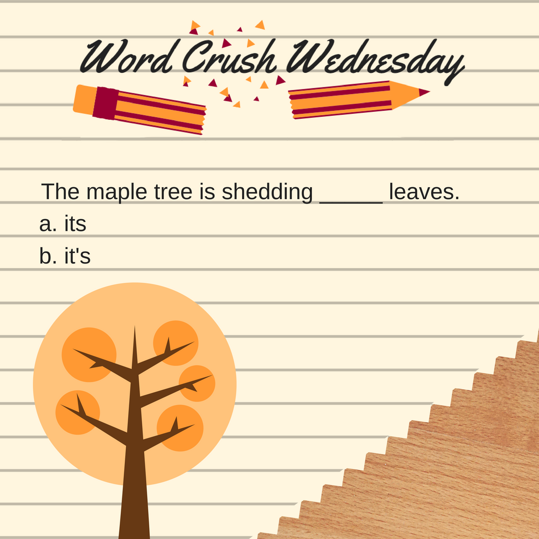 MohawkLSC's tweet photo. Welcome back to Word Crush Wednesday! Insert the correct word to complete the sentence. Comment below with the answer! BONUS: The first person to bring the correct answer to the Learning Support Center (C122) will receive a prize!

#MOLSC #MOWritingHelp https://t.co/NOo2krg94L