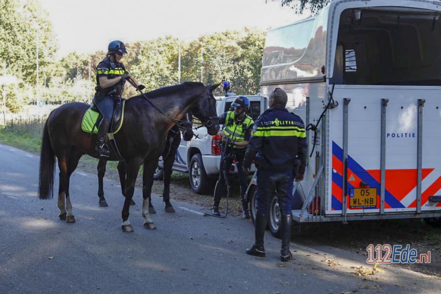 🚨 Vermiste man #Ede na grote zoekactie gevonden 112.press/Qmvk1t 112Ede https://t.co/3LRQdNgW5p