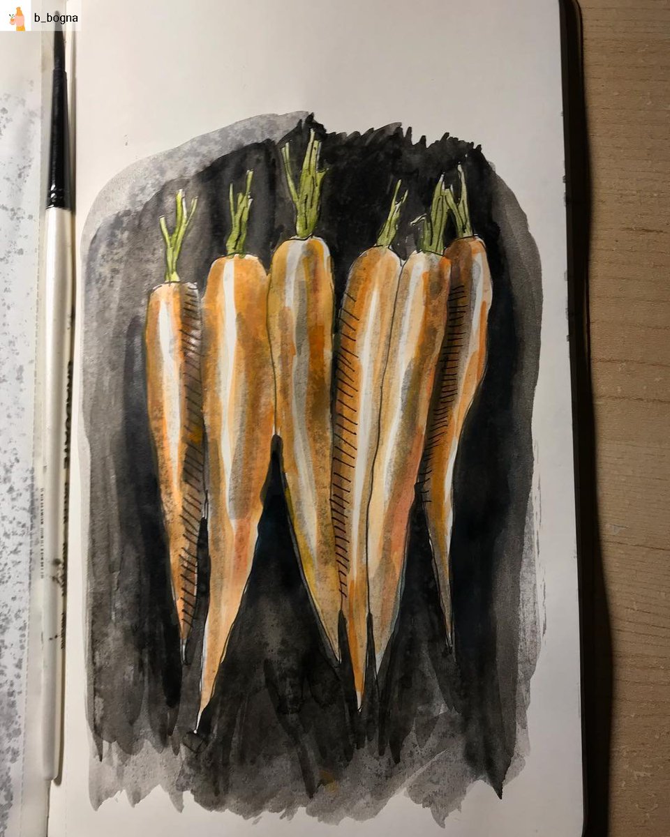 CovUniAS's tweet photo. 🥕🥕🥕

#Repost from @b_bogna on Instagram
I caught a cold and my productivity seems to have evaporated... But since it’s Inktober day 3: roasted, here are some poorly drawn roasted carrots . . . . #inktober #inktober2018 #roasted #illustration #illustrator #ink #inkillustration https://t.co/Zom2ERd3DP