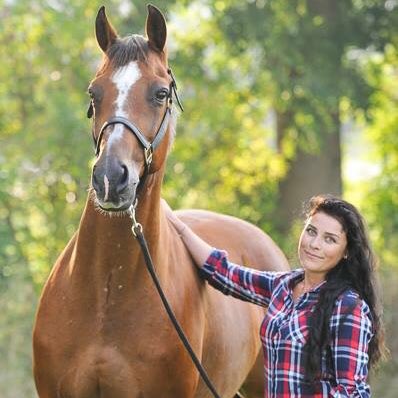 PaardenScheren's tweet photo. #nieuweprofielfoto https://t.co/kdsNyjEaAO