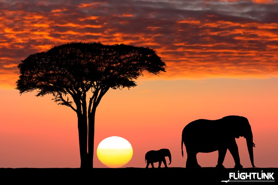 Catch the sunset at Serengeti with #Flightlink ❤️ #Serengeti #DailyFlights #Love #TravelMore