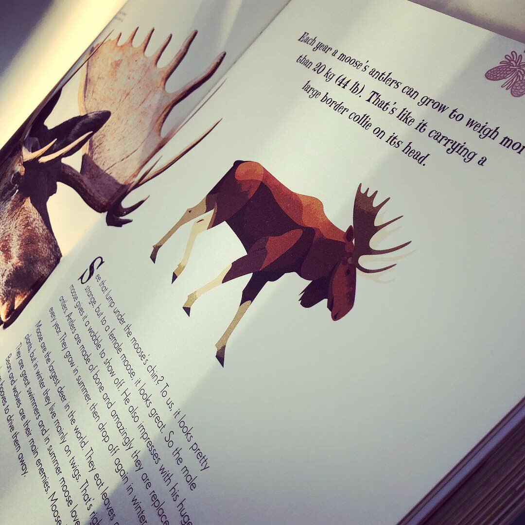 bookgiftblogger's tweet photo. A stunning collection of animals, lavishly presented in this hefty tome #AnAnthologyofIntriguingAnimals provides fascinating facts coupled with stylish illustration and superior photography #benhoare @DLillustrator @canvasbird @danielaterrazzini @dkbooks https://t.co/w5kXuO0ezL