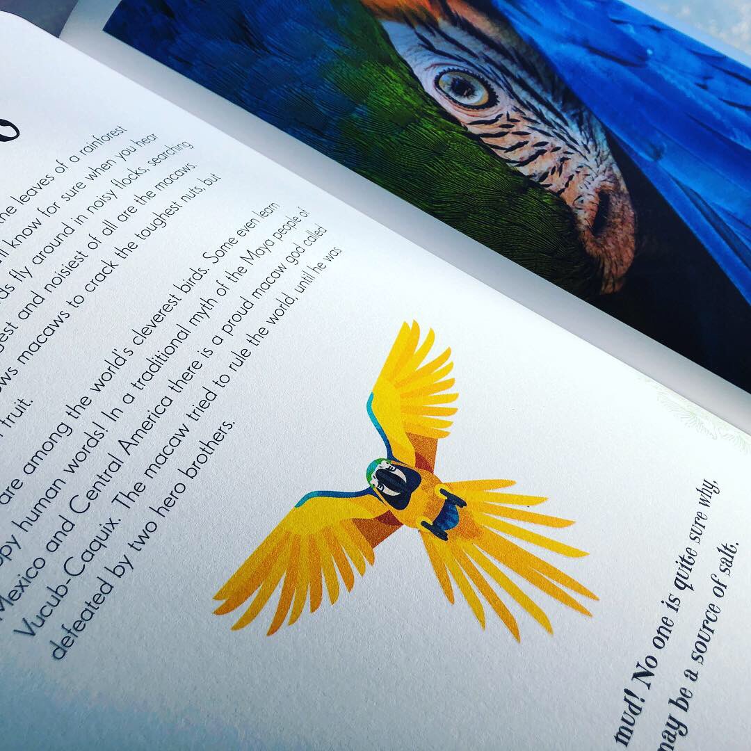 bookgiftblogger's tweet photo. A stunning collection of animals, lavishly presented in this hefty tome #AnAnthologyofIntriguingAnimals provides fascinating facts coupled with stylish illustration and superior photography #benhoare @DLillustrator @canvasbird @danielaterrazzini @dkbooks https://t.co/w5kXuO0ezL