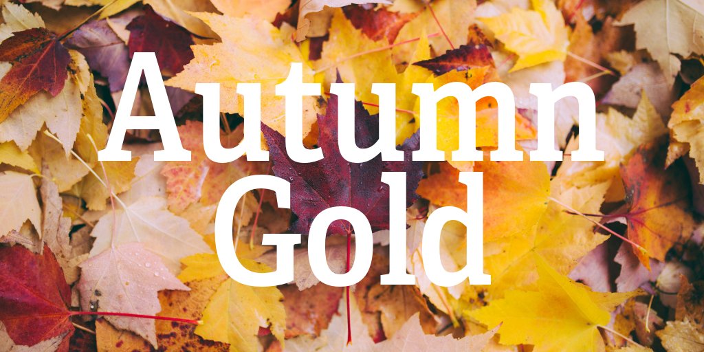 hostellingscot's tweet image. Planning a weekend getaway or #staycation during the #Octoberbreak ?
Discover #Aberdeen 's great shops, culture AND more castles than anywhere else in the UK! 
Book your #AutumnGold stay at Aberdeen Youth Hostel &amp;amp; save 10% until October 31. More info here: hostellingscotland.org.uk/autumngold