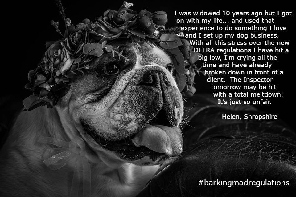 findpetboarding's tweet image. The government should support small businesses not leave them hanging with guidance that needs revisions after the regulation comes into force: findpetboarding.com/licensing/ #barkingmadregulations #WorldMentalHealthDay #smallbusinessowner