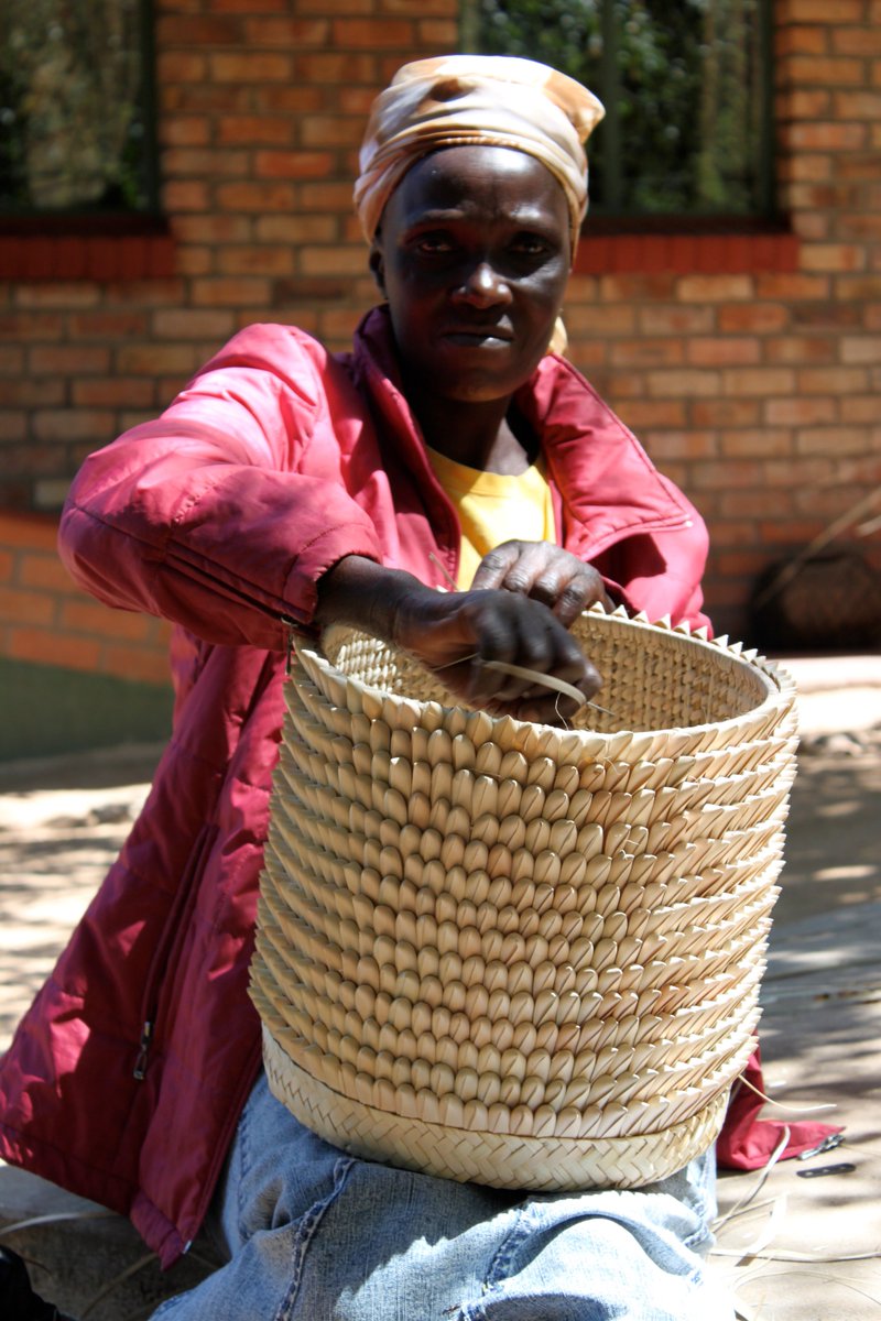 LupaneS's tweet photo. PORCUPINE BASKET https://t.co/gsTjeD2sk9