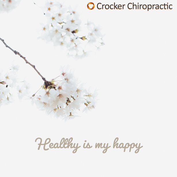 Crocker Chiropractic (Crocker_Chiro) Twitter