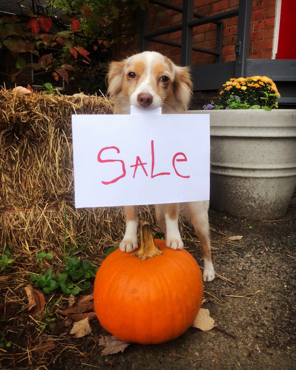 Rutgers Farm tweet media