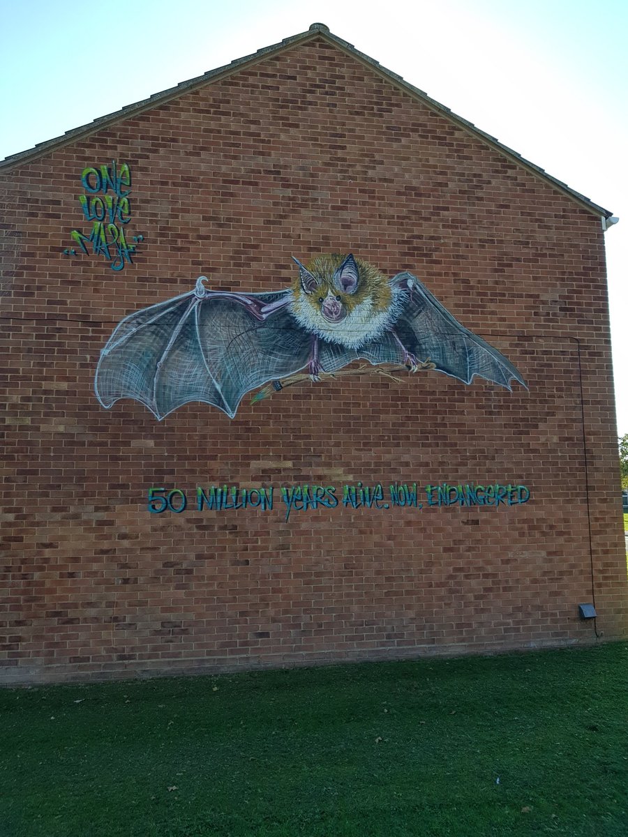 merrifield_jack's tweet image. When your friend's kid asks if this is where you live? This is the kind of graffiti I can get on board with.