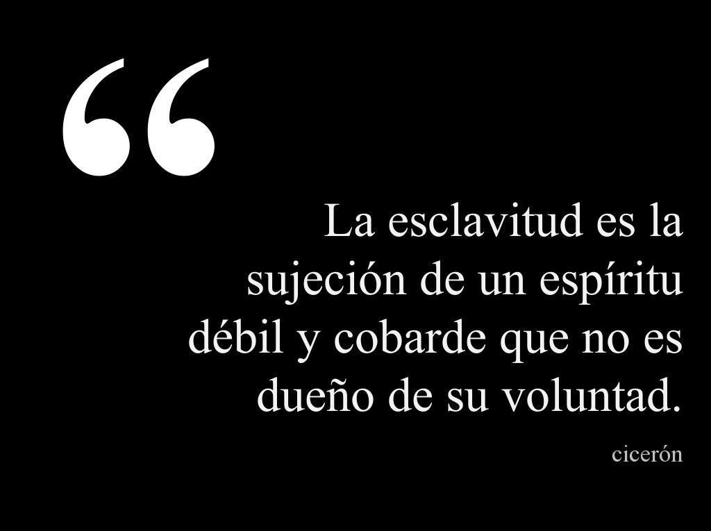 CasaTrolle's tweet photo. La lucha por tener una nueva sociedad debe de ser constante, no debemos de perder el tiempo en falsos debates, construyamos juntos un mejor camino México lo necesita, aportemos lo mejor de nosotros. @frenteveracruz1 @katiavegal https://t.co/OXYsFeEFis