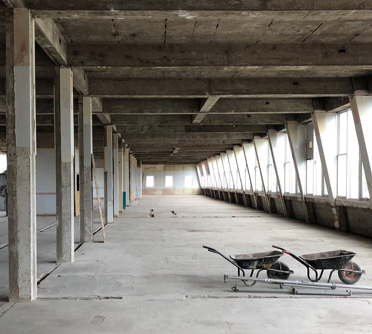 generation_ltd's tweet photo. Strip out continuing!
#ThisisGeneration #Manchester https://t.co/2auT0MDtVX