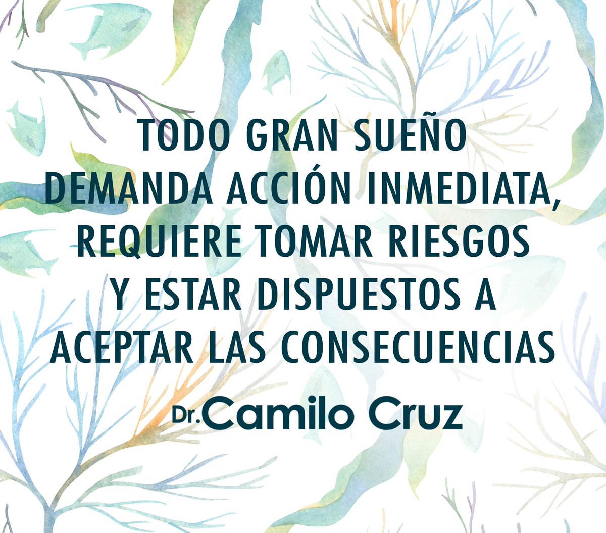 drcamilocruz's tweet photo. Todo gran sueño demanda acción inmediata, requiere tomar riesgos y estar dispuestos a aceptar las consecuencias  #drcamilocruz #frases #exito https://t.co/jXbkCppgNB