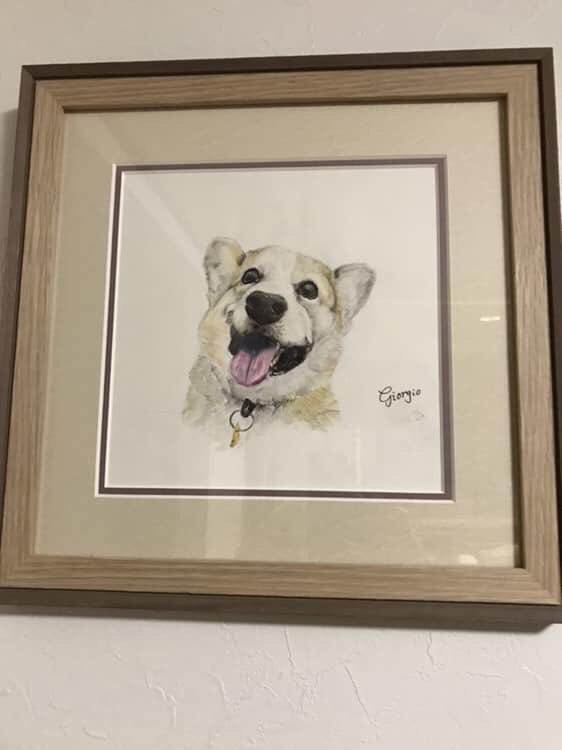 Kokia オーダー品 コーギー ジョルジオ コーギー Welshcorgi 犬の絵オーダー 犬の絵 Dogillust 犬好きな方と繋がりたい Dogsarefamily Dogsoftwitter