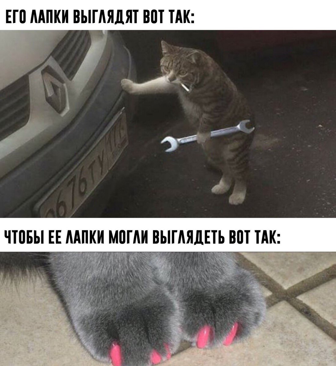 Одной рукой держу вашу фотографию другой думаю о вас. Вот она у меня в руках. Его лапы выглядят так чтобы ее. Его руки выглядят так чтобы ее руки выглядели так. Вот она у меня в руках.