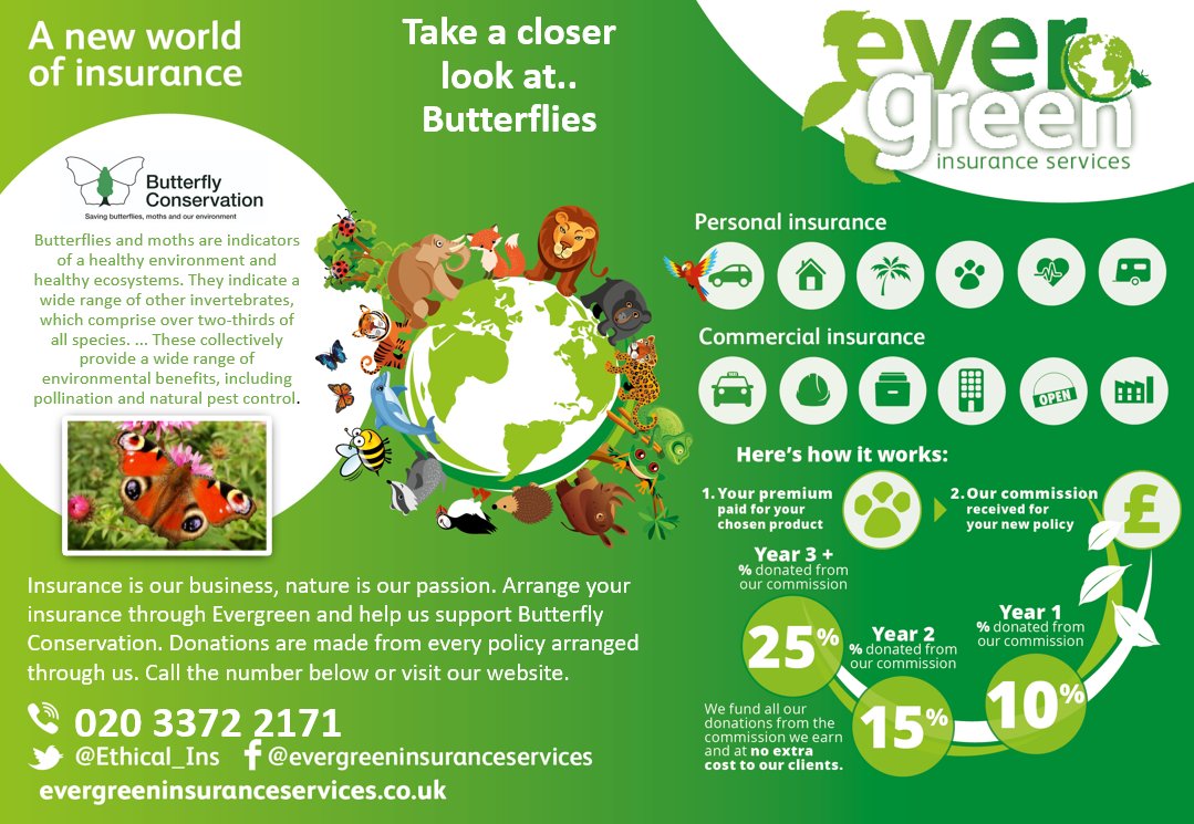 Evergreen Insurance Services on Twitter "Butterflies and