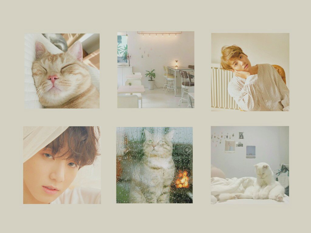 —จอมทัพคนจริง2018— ft.กำลังดีดเลยอห. tweet media