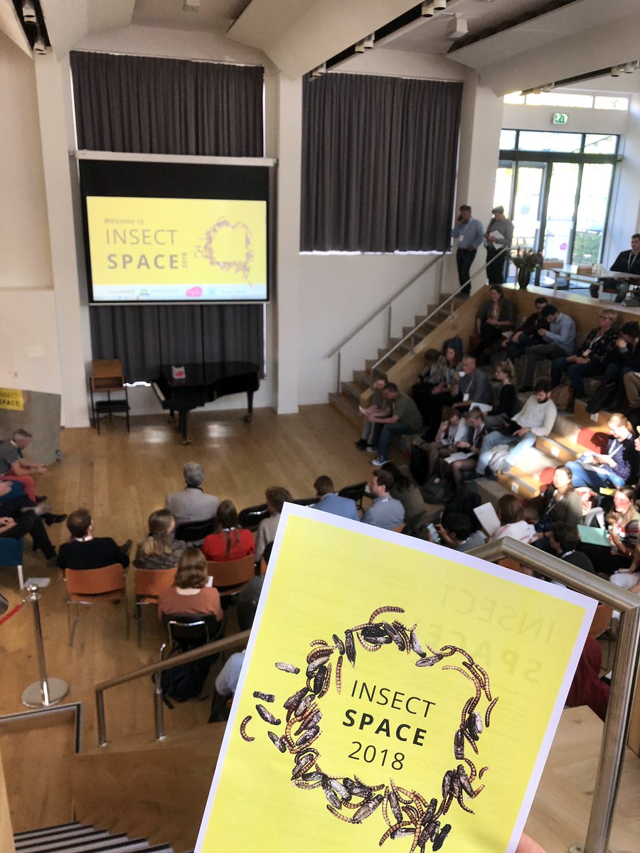 WeekvanOnsEten's tweet photo. Deze middag presenteren onderzoekers, voedingswetenschappers, ondernemers en voedselontwerpers interessante inzichten over waarom en hoe we insecten zouden moeten opnemen in onze voeding #DAFW18 #foodspaceEU #insectspace2018 #WUR https://t.co/cINUo6FfPq