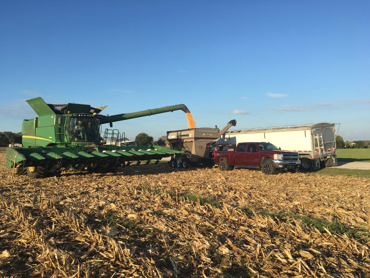 brookebeale4's tweet image. #Harvest2018  #testplot