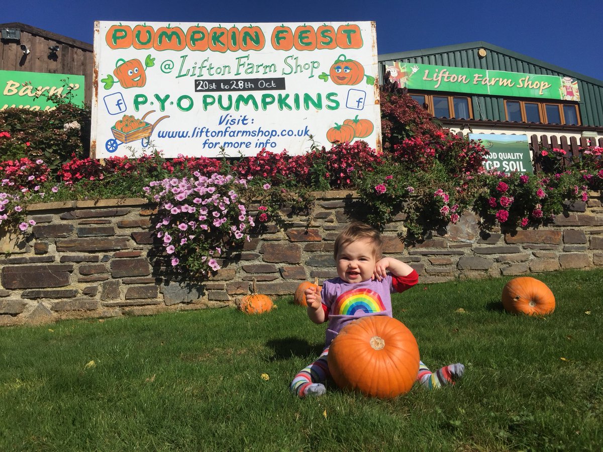 Magic Martin tweet media