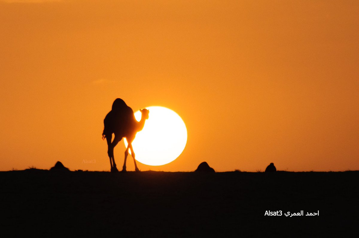 alsat3_'s tweet photo. #غرد_لاخرتك_بذكر_الله 
اللهم انت ربي لا اله الا انت خلقتني وانا عبدك وانا على عهدك ووعدك ما استطعت أعوذ بك من شر ما صنعت ابوء لك بنعمتك علي وابوء بذنبي فاغفر لي فإنه لا يغفر الذنوب إلا أنت https://t.co/mKh7vCYKOr