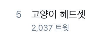 연수 tweet media