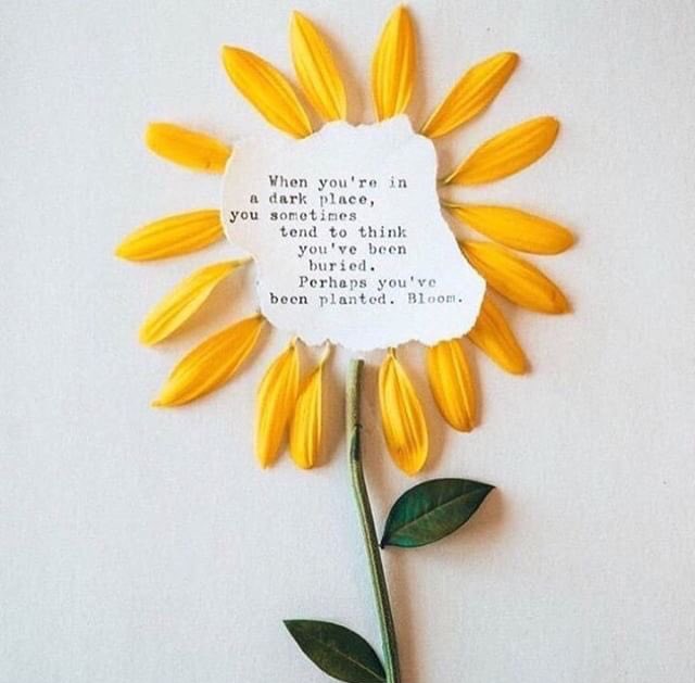 abby_maure's tweet photo. #WorldMentalHealthDay https://t.co/tC2YpQHuqd