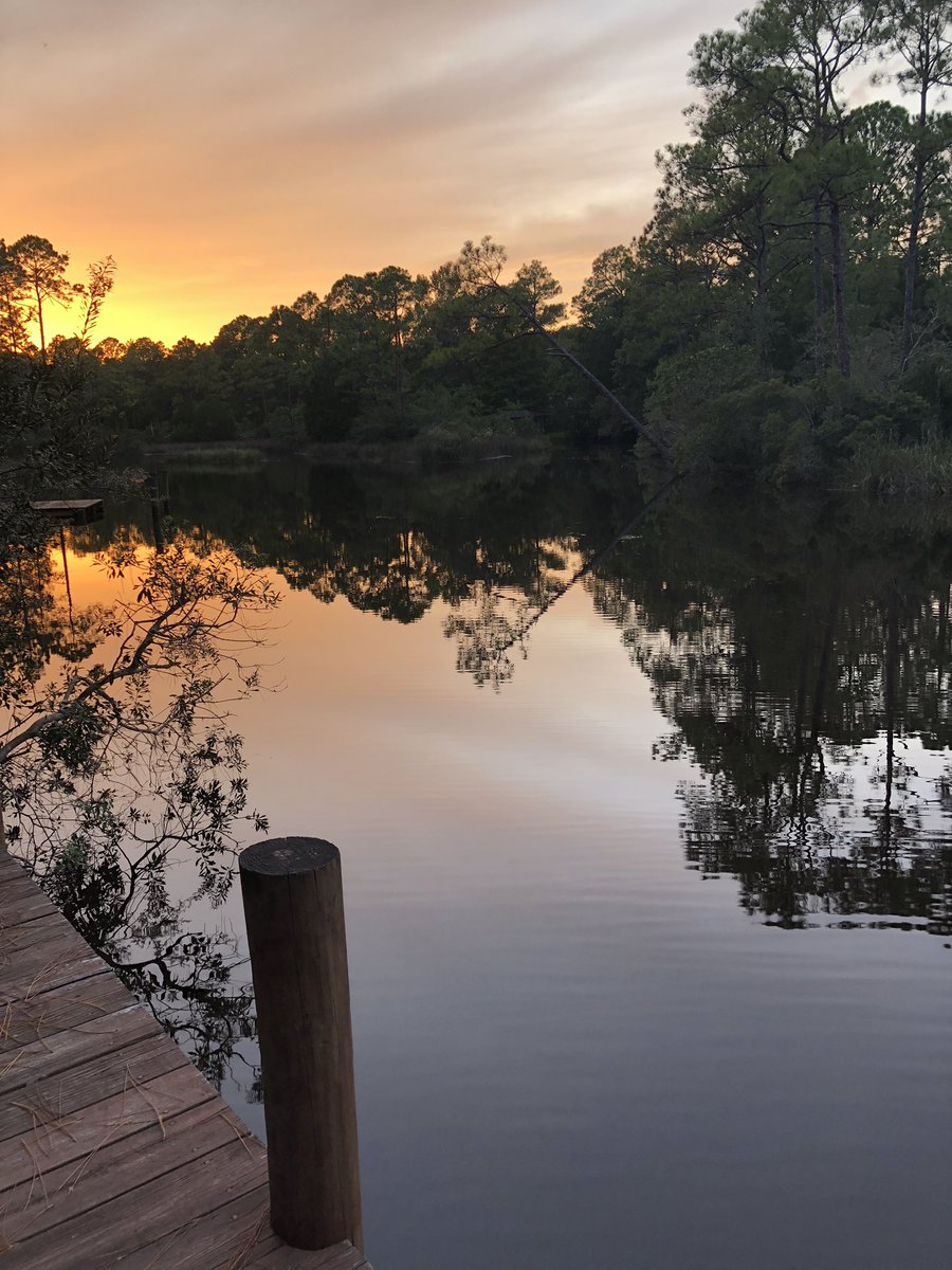 BALady_StAug's tweet image. The calm before the storm