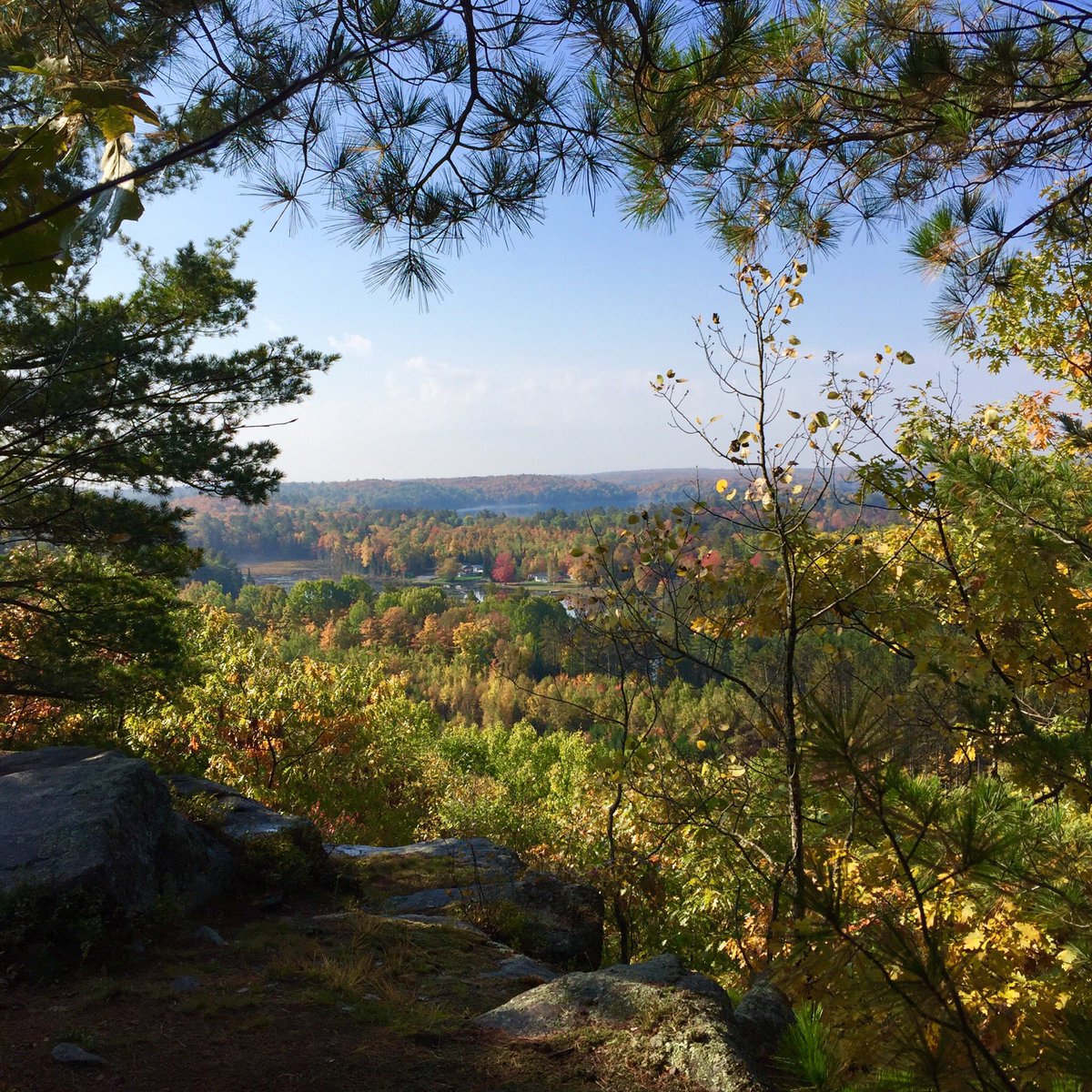 Exploring the fantastic trails in #algonquinhighlands #circuitof5viewpoints #C5V #myhaliburtonhighlands #comewander #hikehaliburton