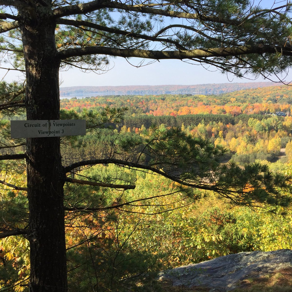 Lorry_Brandon's tweet photo. Exploring the fantastic trails in #algonquinhighlands #circuitof5viewpoints #C5V #myhaliburtonhighlands #comewander #hikehaliburton https://t.co/rQKj89nk5x