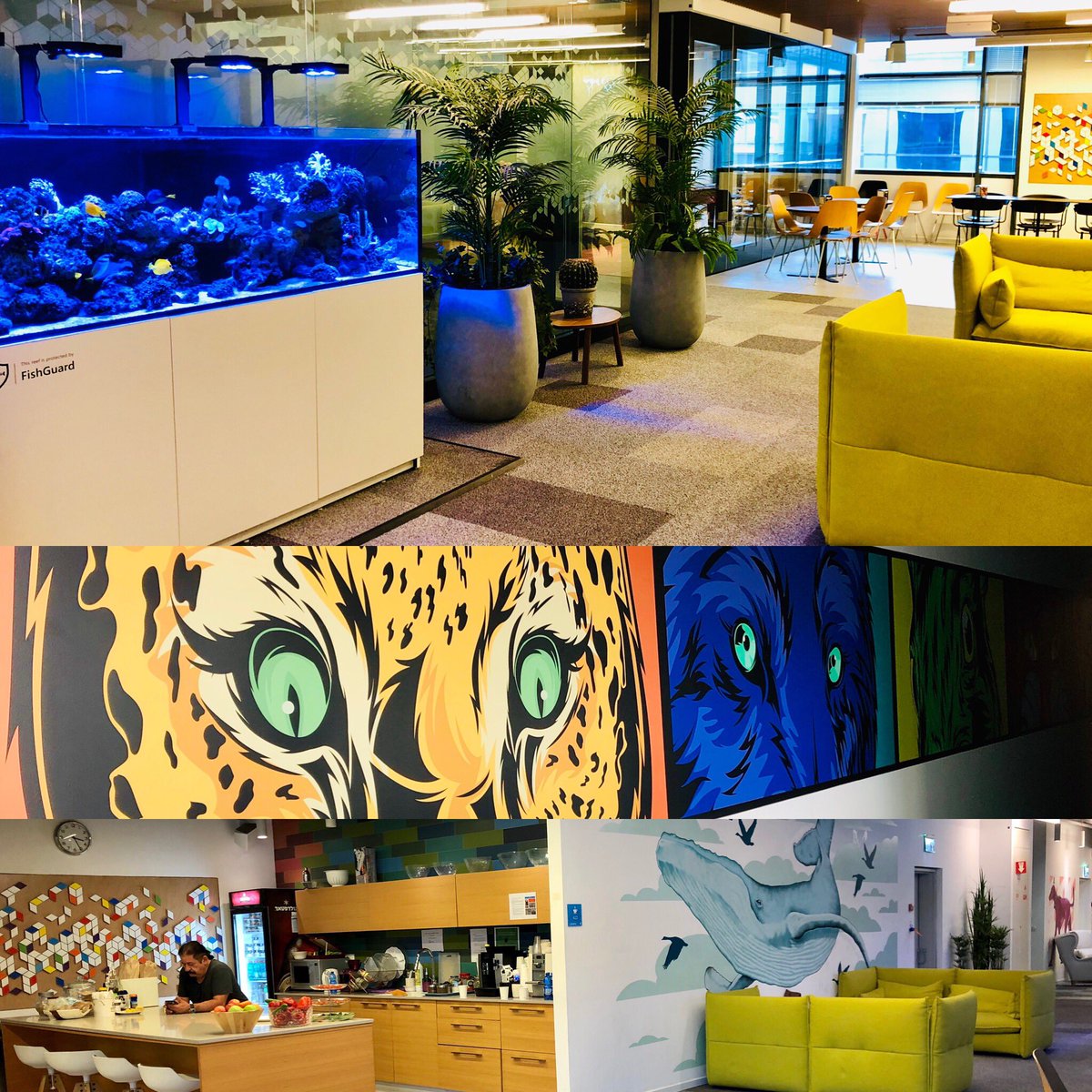 RavivTamir's tweet photo. apparently it’s what you do now if you are in the EDR space - So here are some random photos of our offices... #WDATP #coolworkspaces https://t.co/nhX0NaF0YA
