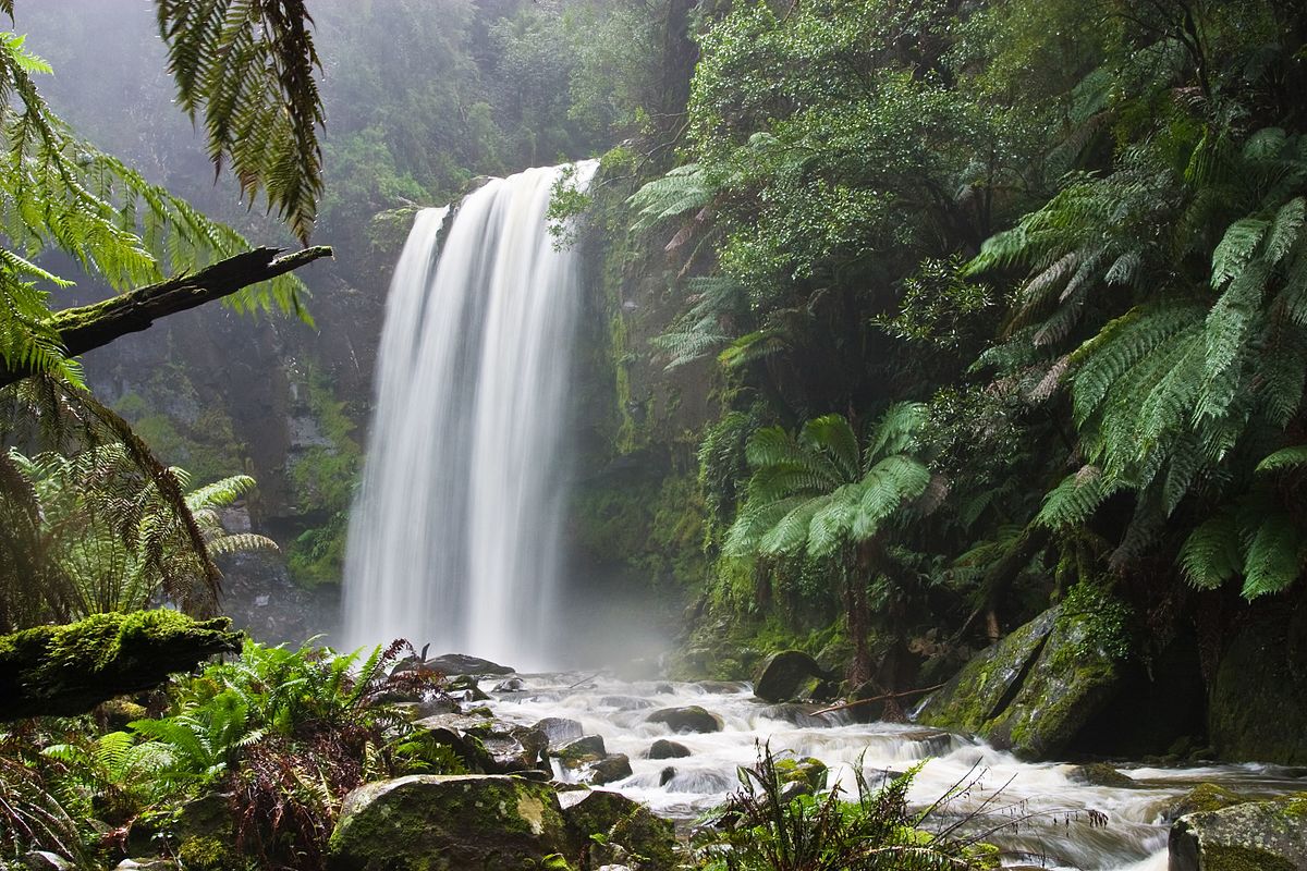 SaintKateriCtr's tweet photo. Work for peace will be effective when people realize their deep connection with nature&with all living beings. Man must seek harmony with nature &admire in it the beauty, wisdom &love of the Creator. Men freed of their frenzy for possessions&domination will be artisans for peace. https://t.co/l68RGOfwRz