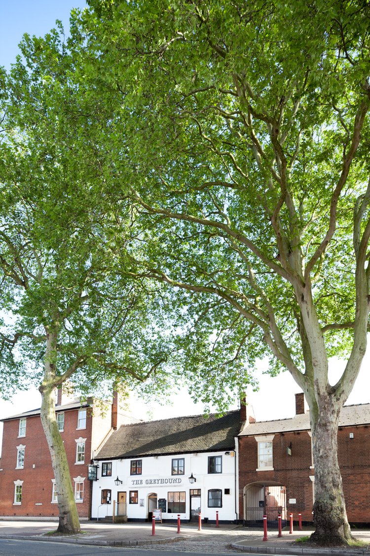 It's #WorldMentalHealthDay! Did you know that a connection to the natural and built environment can have a positive impact on our #wellbeing? See how our app can help improve your wellbeing ow.ly/THXz30lLHPS