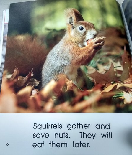 btbsls's tweet photo. I Notice Animals in the Fall (KT01647) https://t.co/jk4h8Fef8o #btsls https://t.co/q5q88T5seN