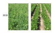 rjanssen19's tweet photo. Treflan® Liquid EC controls weeds as they germinate, getting your crop off to a fast, clean start to maximize yield potential. A good tankmix partner with Permit Herbicide in dry beans https://t.co/Nec9hxqECC https://t.co/wJkmSnB398