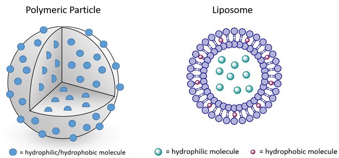 buy cancer targeted drug delivery an elusive dream 2013