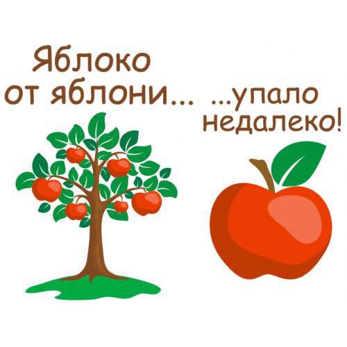 Яблоня от яблони недалеко падает значение. Пословица яблоко от яблони недалеко падает. Яблоня от яблони недалеко падает значение. Яблоня от яблони недалеко падает значение. Пословица яблоко от яблони.