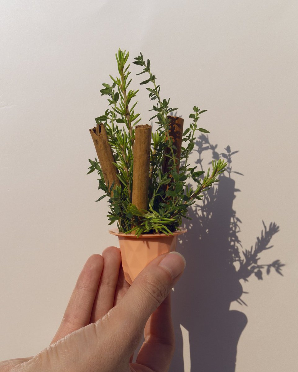 Skinjay Paris tweet media