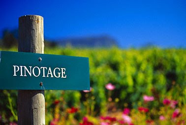 Get your #ProudlySouthAfrican groove on this weekend and celebrate <a href="/PinotageSA/">Pinotage Association</a>  with <a href="/winevillage/">Wine Village</a> &amp; #Pauldutoit