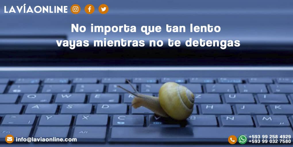 LaViaOnline's tweet photo. Nunca te detengas cuando se trata de cumplir tus sueños. https://t.co/rxBNCeTSvf