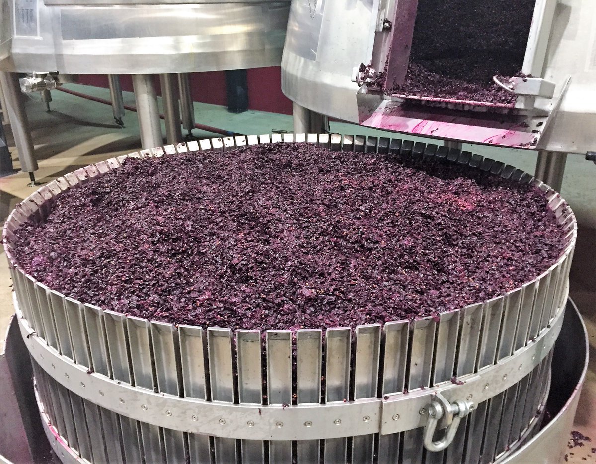 aalto_winery's tweet photo. Once the alcoholic fermentation is over, it is time to make the devatting or manual emptying of the tanks in order to separate the wine from the solid (skins ands seeds). @aalto_winery #devatting #fermentation #tempranillo #redwine #wine #winerytools #winery #winepress https://t.co/KVgQOD2Dci